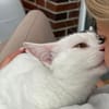Micky und Apollon aus dem Tierschutz