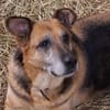 Bella und Diana suchen Paten