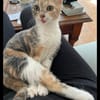 BÉBÉ