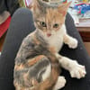 BÉBÉ