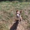ALYBI