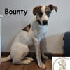 Bounty wird mutig und entdeckt die Welt