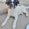 Gonzosucht sein großes Glück 🐾💕🍀