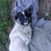 Gonzosucht sein großes Glück 🐾💕🍀