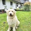 TWIST - zur Pflege in NRW