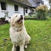 TWIST - zur Pflege in NRW