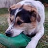 Huckleberry Finn freut sich auf dich!