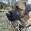 Seppl  - lieber Bub sucht Familie Right