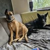 Kelly sucht ihre Menschen