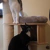 ***LEO und LILLY!***