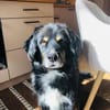 Ari, kleiner Herzensbrecher, sozial