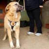 Fiona ist bereit für ein Leben mit dir