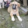 Fiona ist bereit für ein Leben mit dir