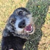 Berta