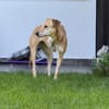 Aurelia hat es mehr als verdient!