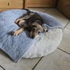 Mimi sucht ein liebevolles Zuhause