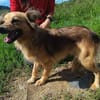 Froehliche DASHA