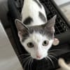Bobby sucht seine Menschen