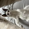 Bobby sucht seine Menschen