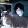Leo & Vito suchen zusammen