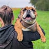 Betty sucht tolles zu Hause
