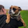 Betty sucht tolles zu Hause