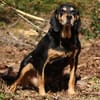 Rhonda Bracken Mix 9-10 Jahre 47 cm