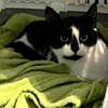Patty sucht ein liebevolles Zuhause