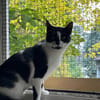Patty sucht ein liebevolles Zuhause
