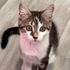 Izzy u. Ivo suchen ein liebevolles Heim