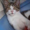 Izzy u. Ivo suchen ein liebevolles Heim