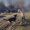 Junge Betty auf PS in Oberbayern