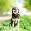 Frohnatur Lina sucht ihre Familie