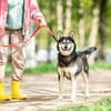 Frohnatur Lina sucht ihre Familie