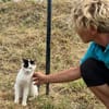 Tabea - sucht Zuhause voller Kuschelzeit