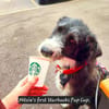 Mitzie