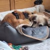 RANIA  - Omi sucht Endstelle
