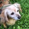 RANIA  - Omi sucht Endstelle