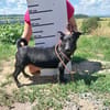 Sonnenschein SUSAN sucht ihr Zuhause