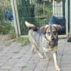 Hübsche Lucy