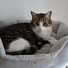 Pebbles & Ron suchen zusammen