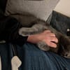 Pebbles & Ron suchen zusammen