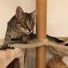 Monty Energiebündel und Schmusebacke