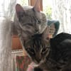 Monty Energiebündel und Schmusebacke