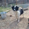 Fritzi, klein, lieb, zurückhaltend