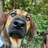 Kayo -zur Pflege in 23701 Bockholt-