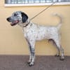 LUCHO (Maria)