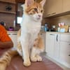 Luna und Stuart suchen gemeinsam ein Zuh