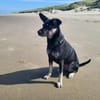 Ronja ❤