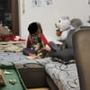 Maja - sucht ein neues Zuhause